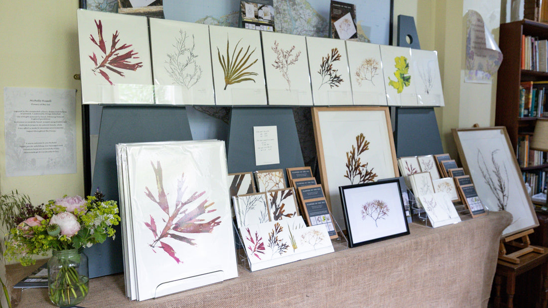 British Flowers Week