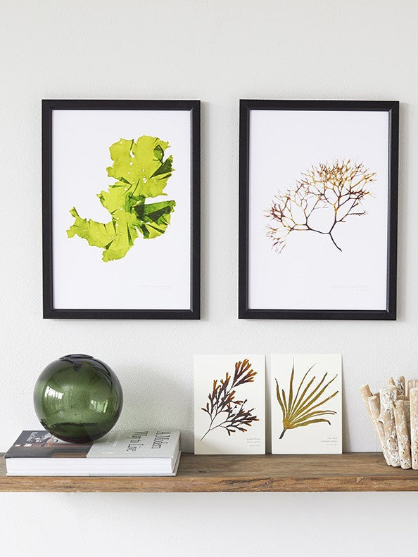 Posters