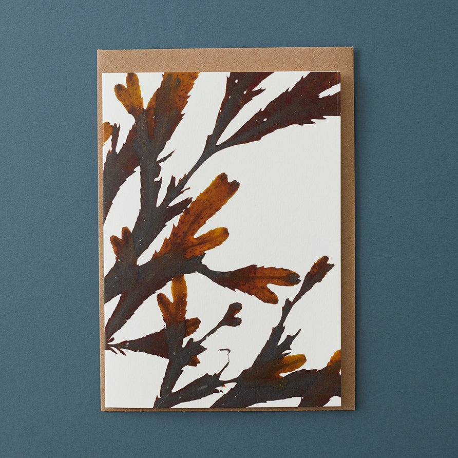 Abstract Greeting Card - Serrated Wrack