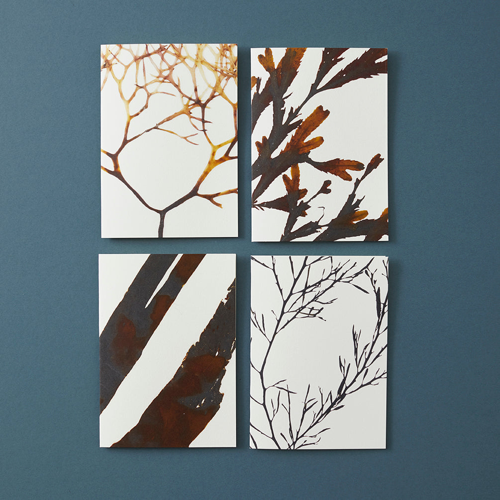 Abstract Greeting Card - Serrated Wrack