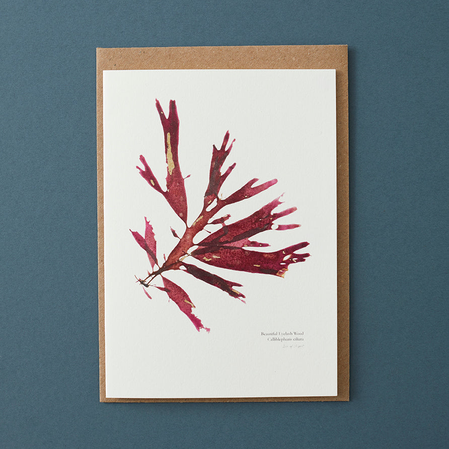 Greeting Card - Beautiful Eyelash Weed