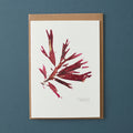 Greeting Card - Beautiful Eyelash Weed