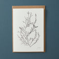 Greeting Card - Sea Oak