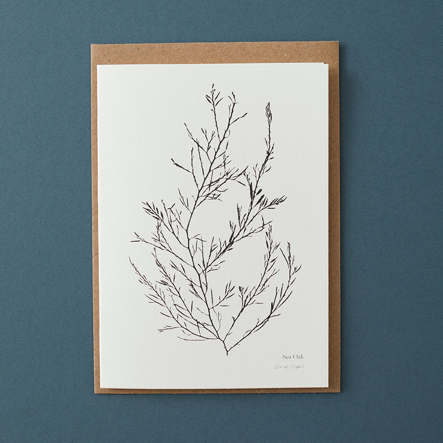 Greeting Card - Sea Oak