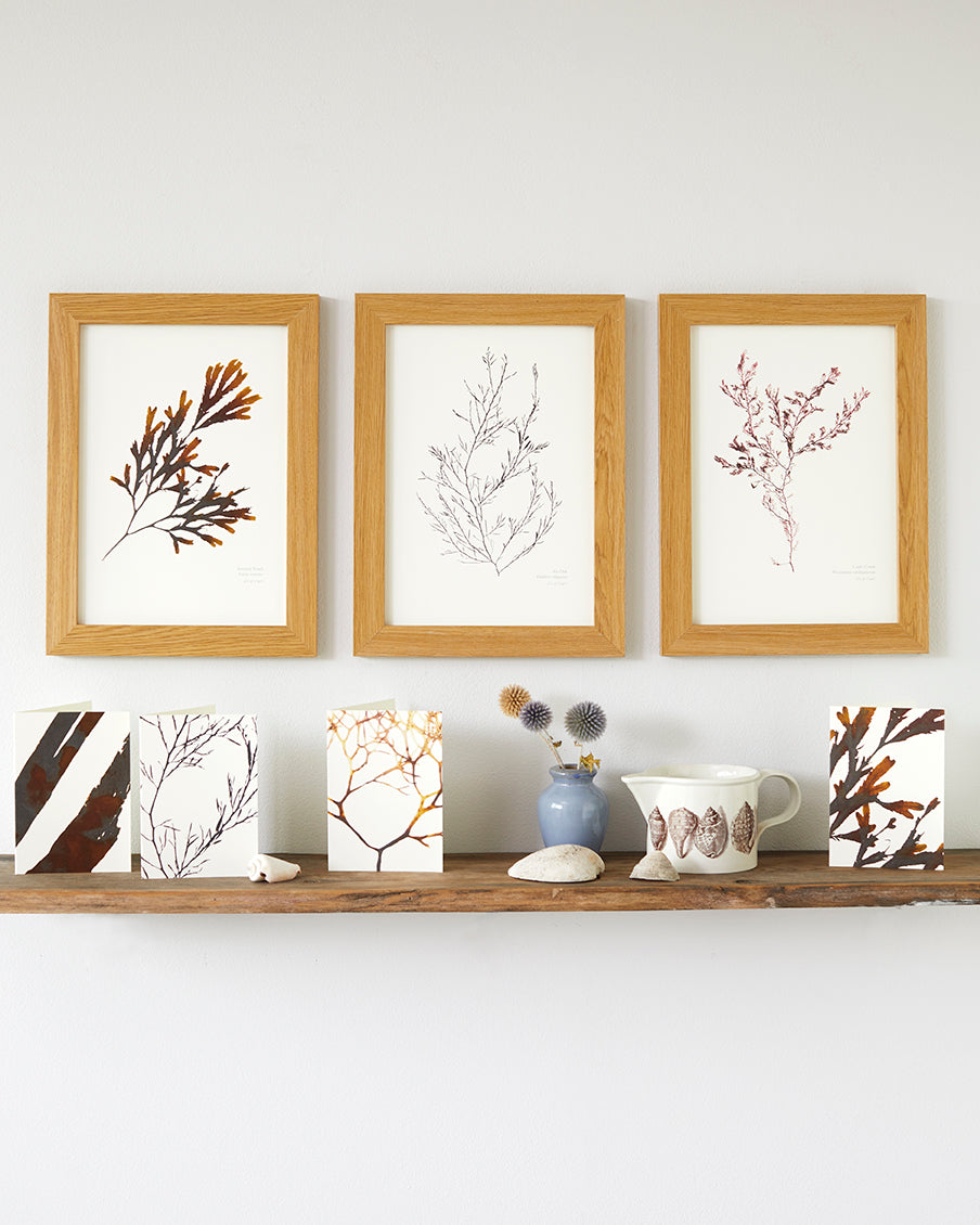 Abstract Greeting Card - Sea Oak