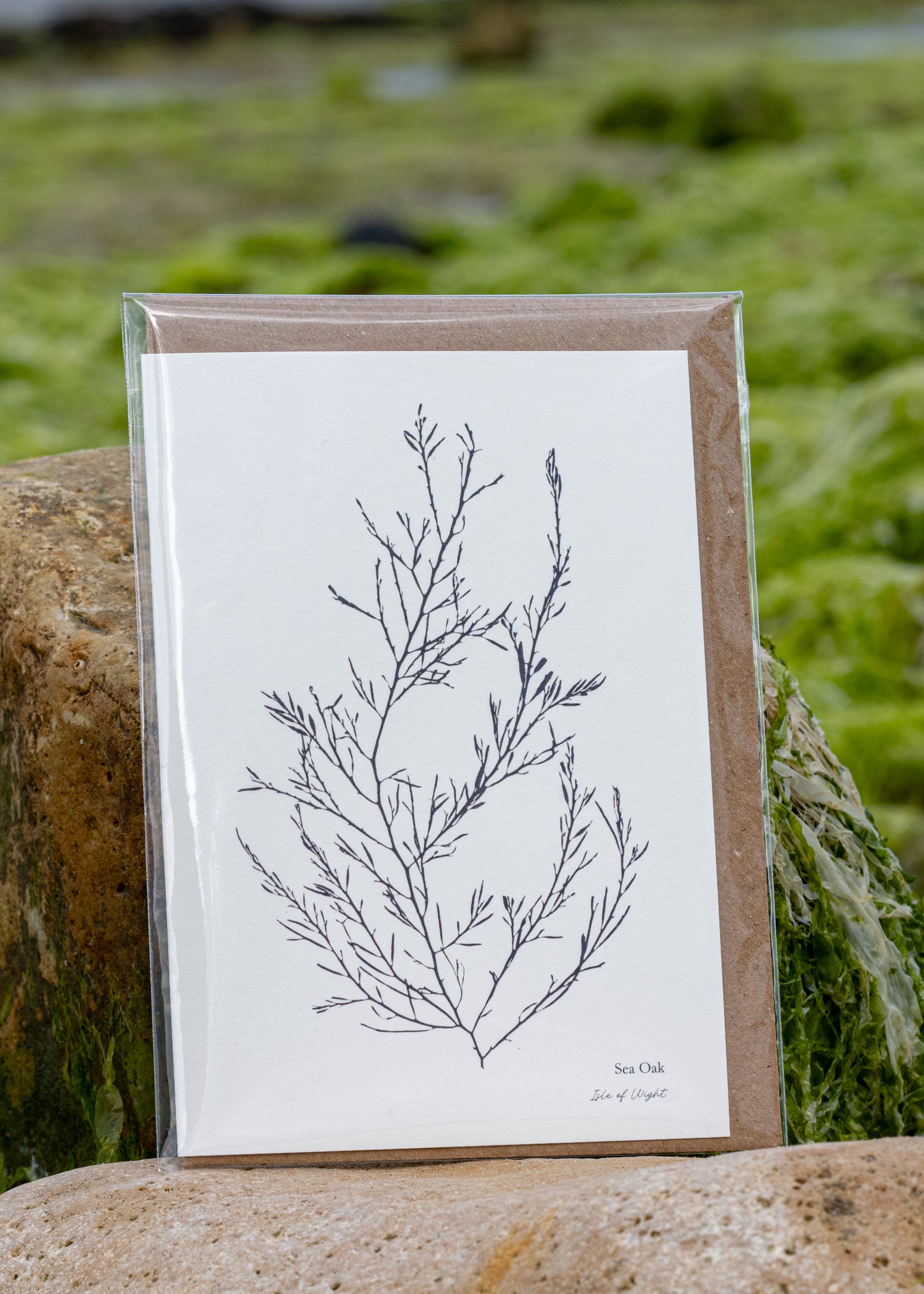 Greeting Card - Sea Oak