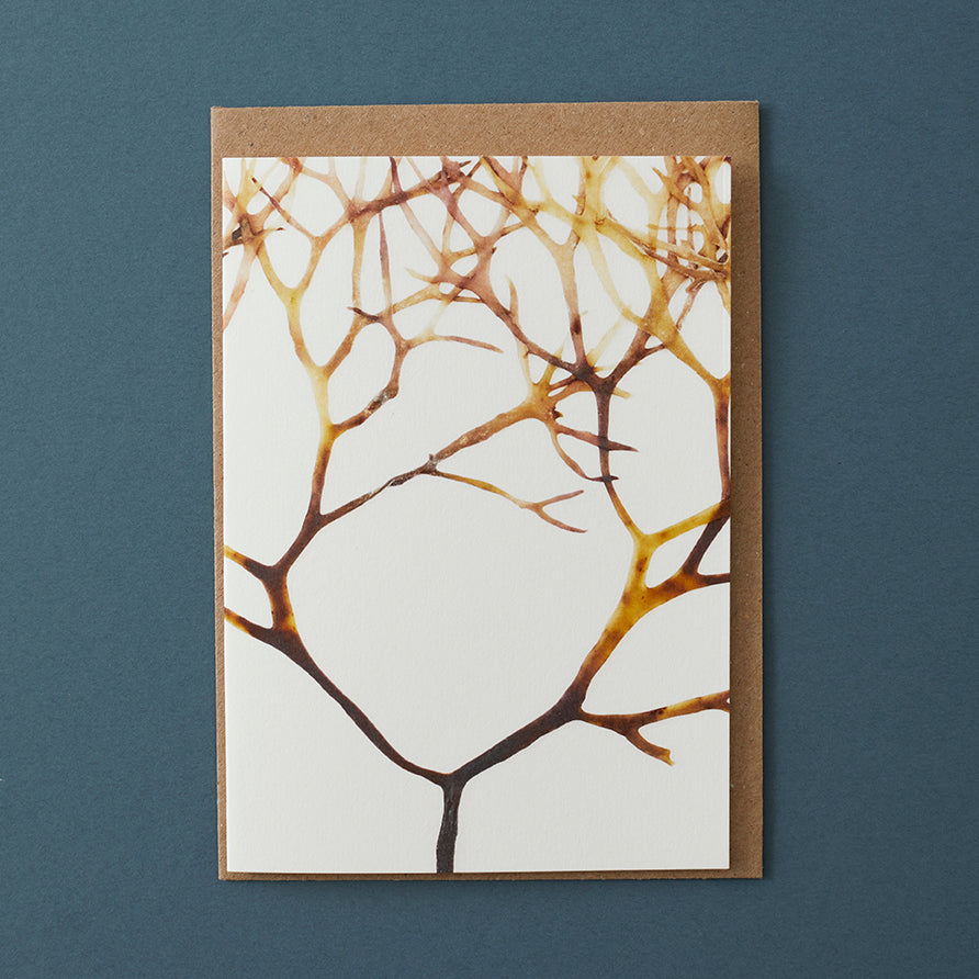Abstract Greeting Card - Irish Moss