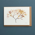 Greeting Card - Irish Moss