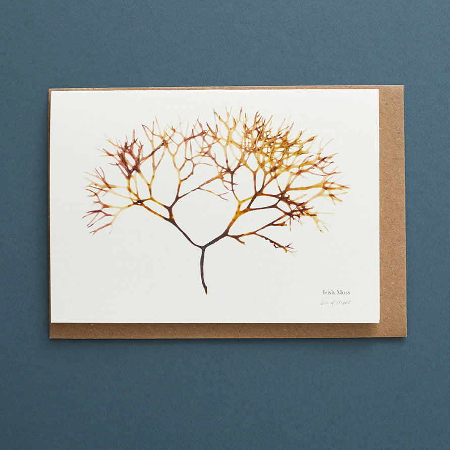 Greeting Card - Irish Moss