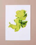 Seaweed Poster - Sea Lettuce