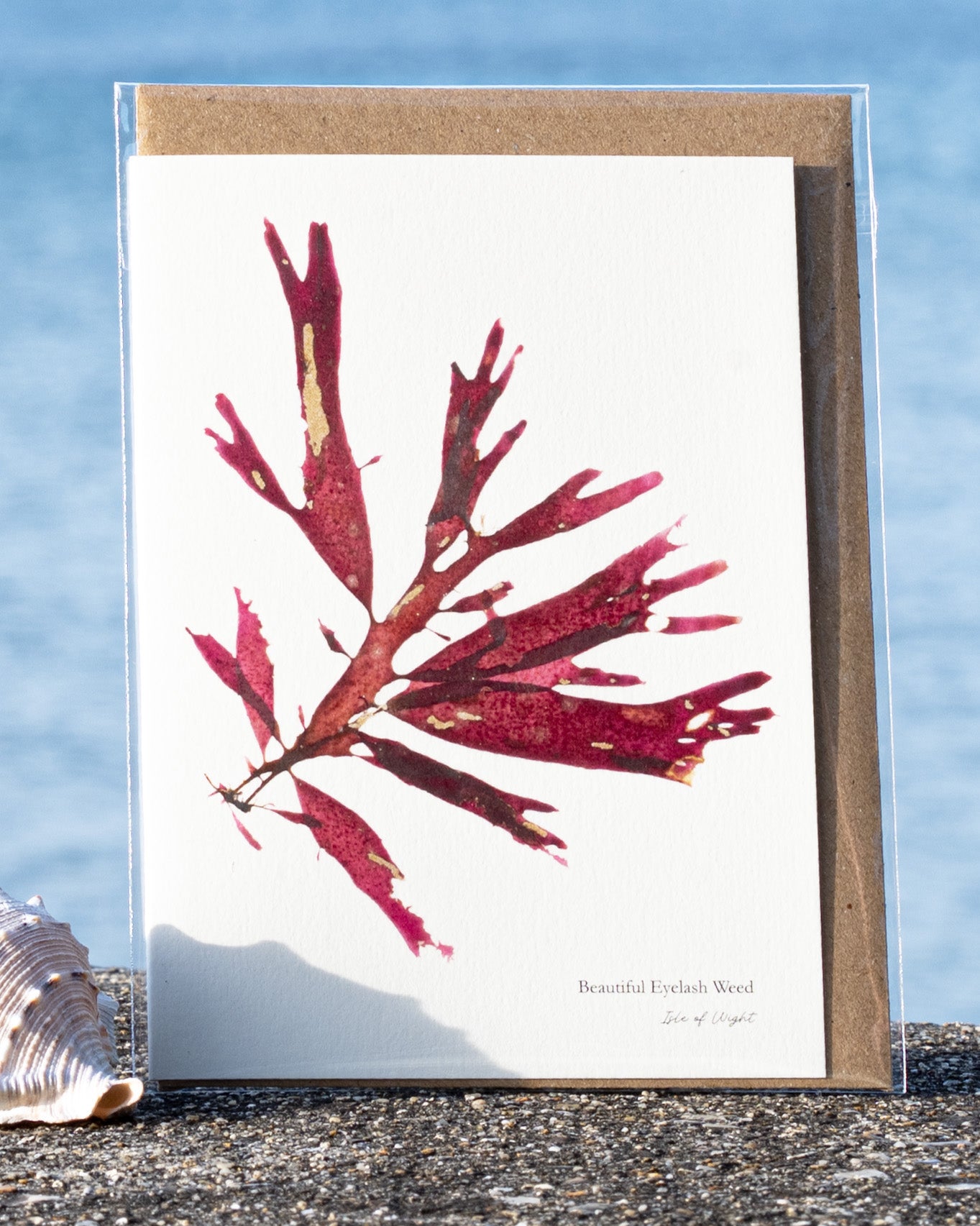 Greeting Card - Beautiful Eyelash Weed