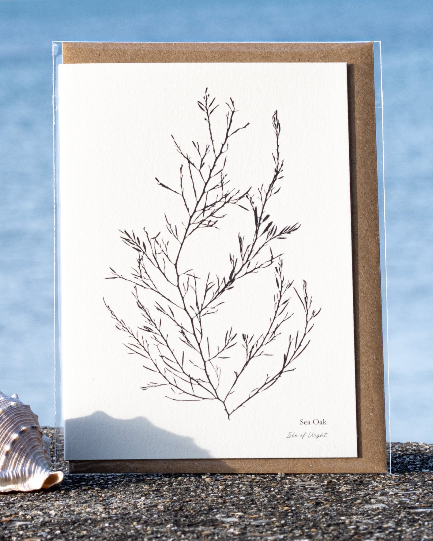 Greeting Card - Sea Oak