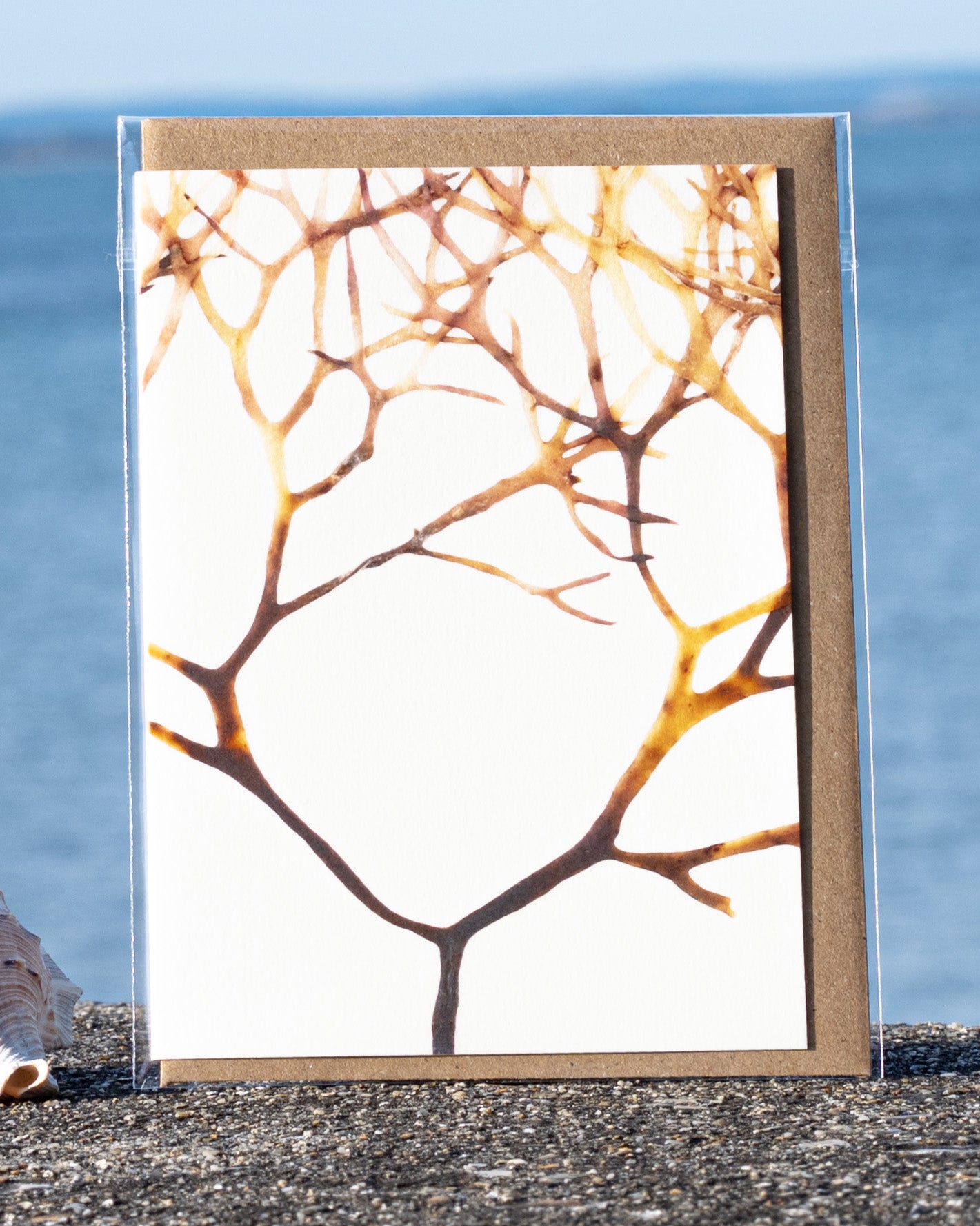 Abstract Greeting Card - Irish Moss