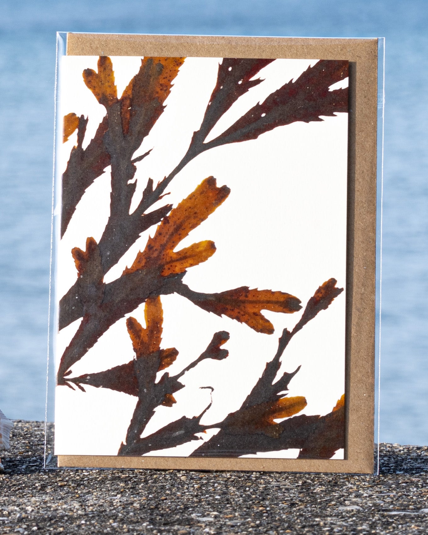Abstract Greeting Card - Serrated Wrack