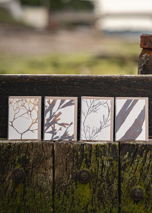Abstract Greeting Card - Forest Kelp
