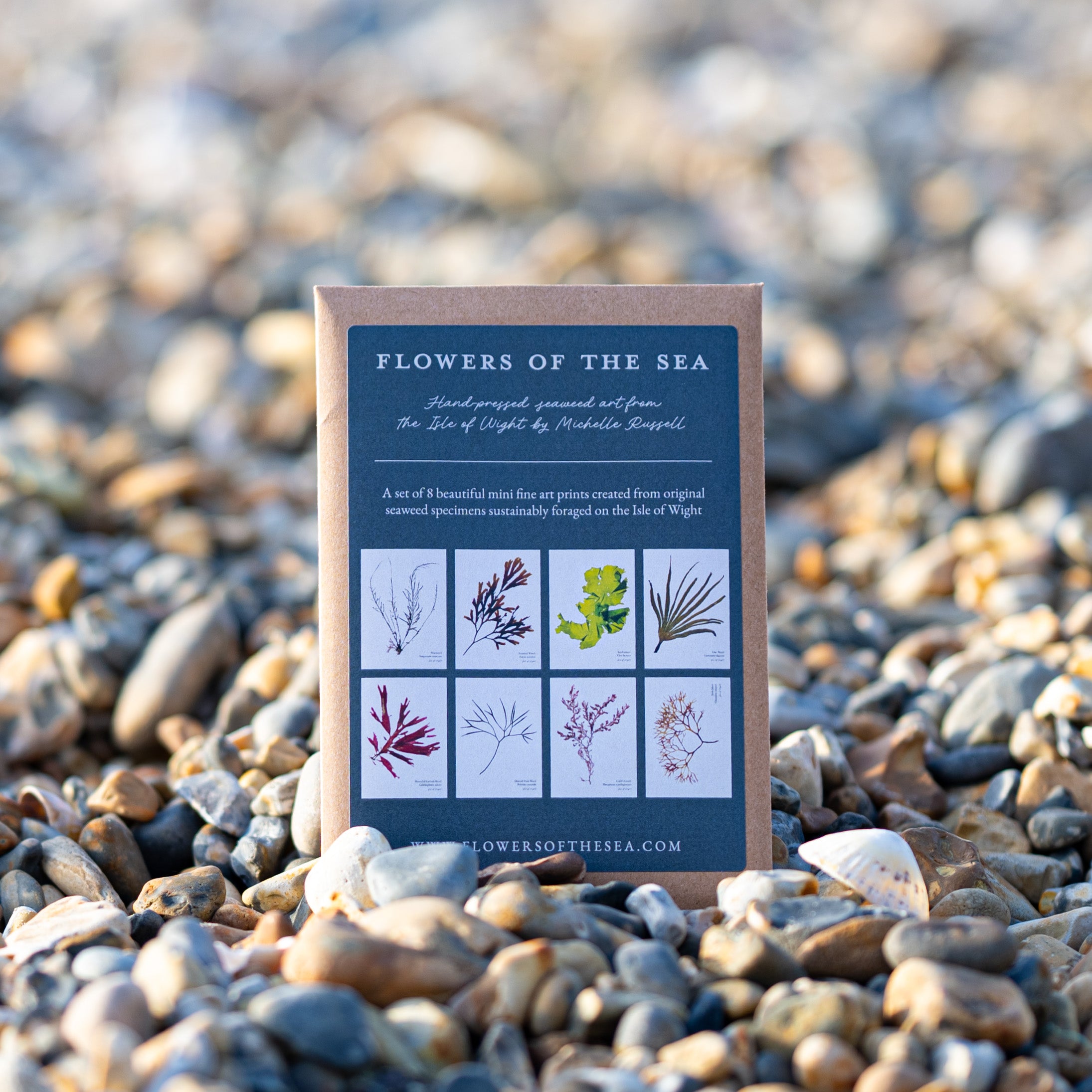 Set of 8 Mini Fine Art Seaweed Prints